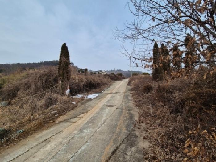 세종 장군면 임야 경매 물건 사진
