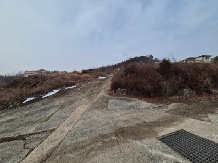 세종 장군면 임야 경매 물건 사진 2 · 2026타경600161