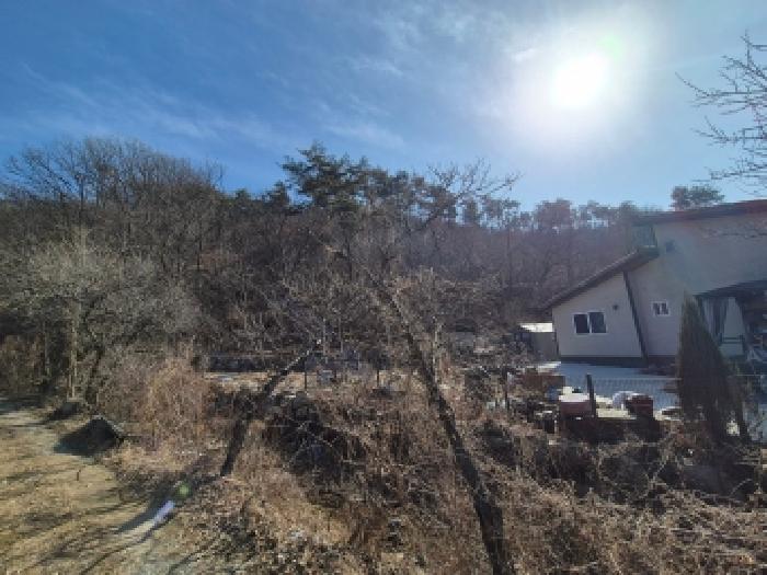 세종 장군면 대지,임야,전답 경매 물건 사진