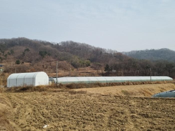 충남 금산군 금성면 전답 경매 물건 사진