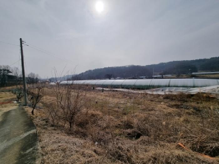 충남 금산군 금성면 전답 경매 물건 사진 3 · 2026타경600184