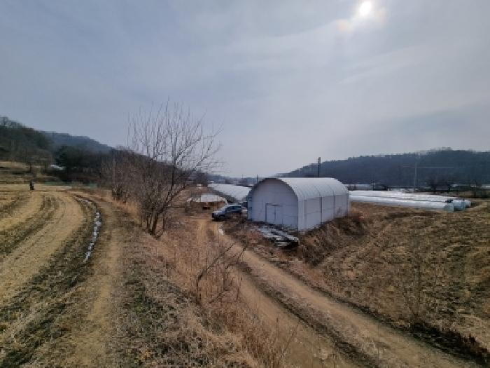 충남 금산군 금성면 전답 경매 물건 사진 4 · 2026타경600184