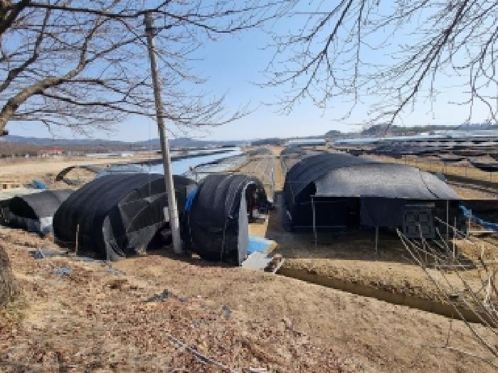 충남 금산군 금성면 연립주택 경매 물건 사진 6 · 2026타경600197