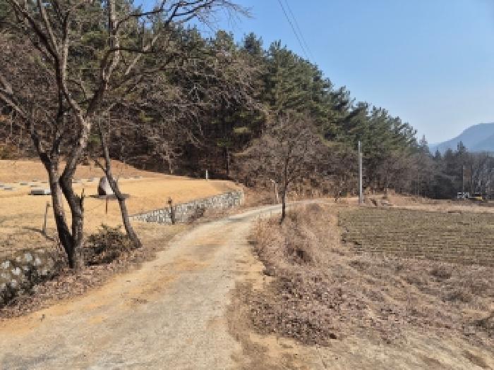 세종 금남면 대지,임야,전답 경매 물건 사진