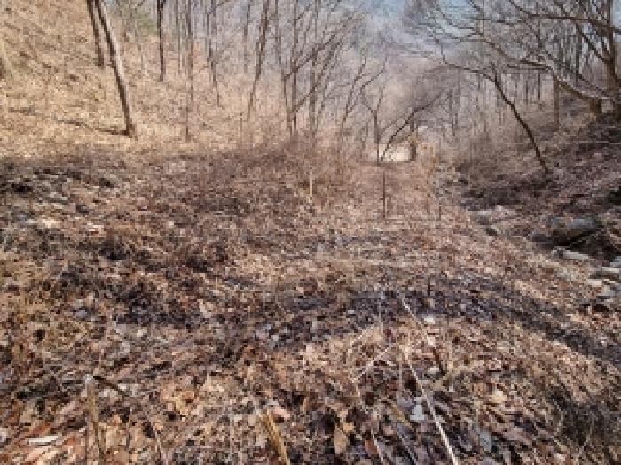 충남 금산군 남이면 전답 경매 물건 사진