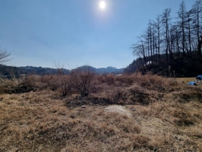 충남 금산군 남이면 전답 경매 물건 사진 6 · 2026타경600226