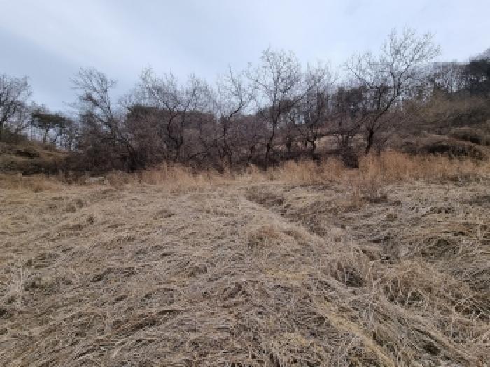 충남 금산군 군북면 전답 경매 물건 사진 5 · 2026타경600229