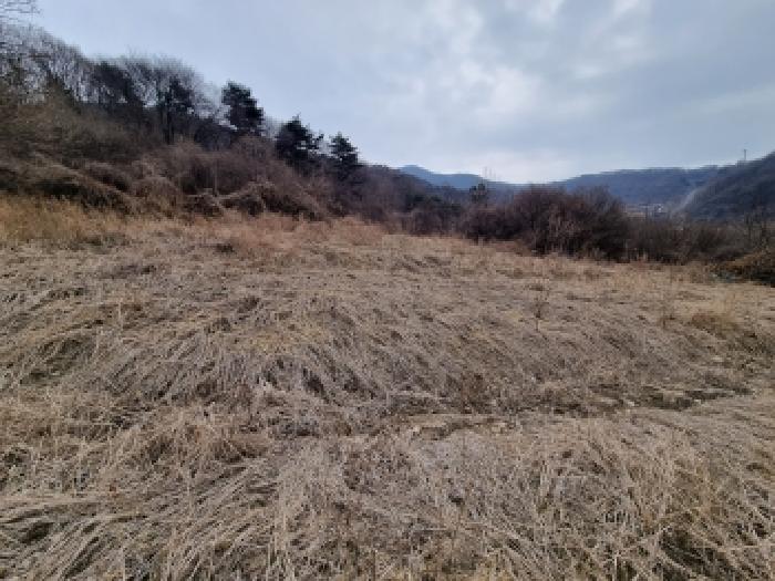 충남 금산군 군북면 전답 경매 물건 사진 6 · 2026타경600229