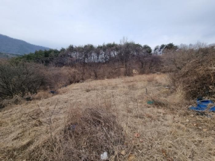 충남 금산군 군북면 전답 경매 물건 사진