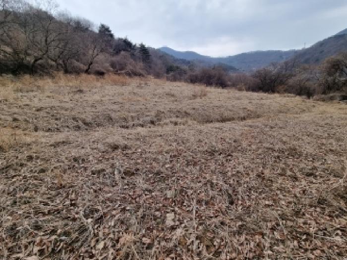 충남 금산군 군북면 전답 경매 물건 사진 3 · 2026타경600229