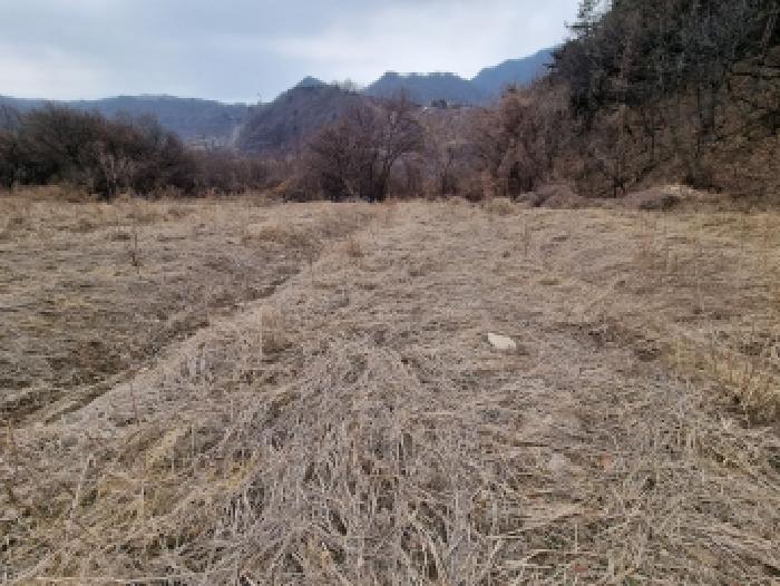 충남 금산군 군북면 전답 경매 물건 사진 4 · 2026타경600229