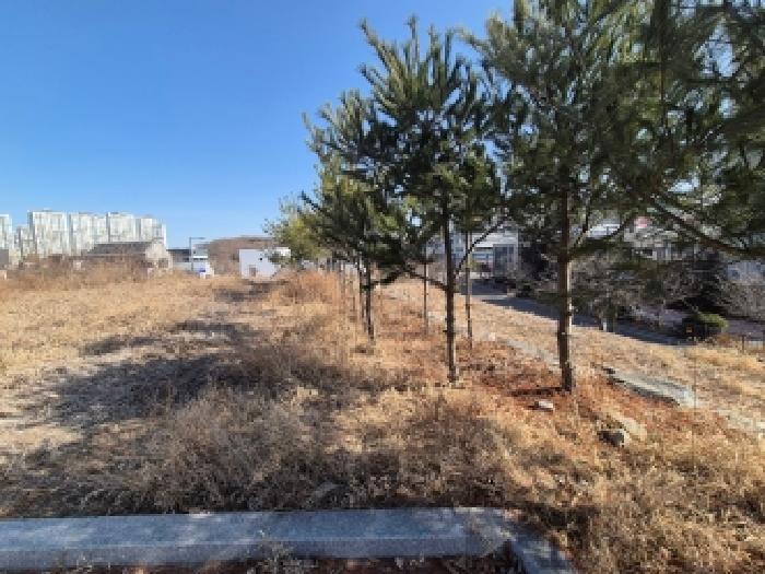 세종 고운동 공원 경매 물건 사진
