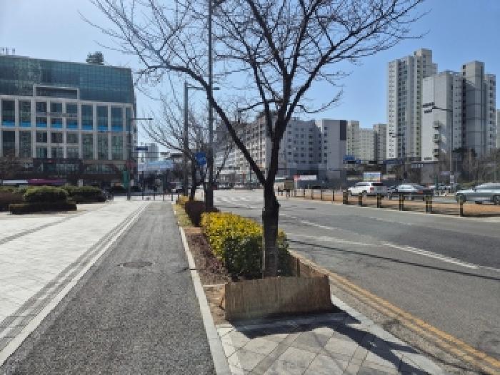 세종 나성동 근린생활시설 경매 물건 사진