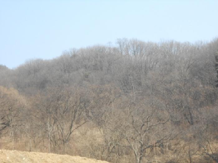 세종 전의면 전답 경매 물건 사진