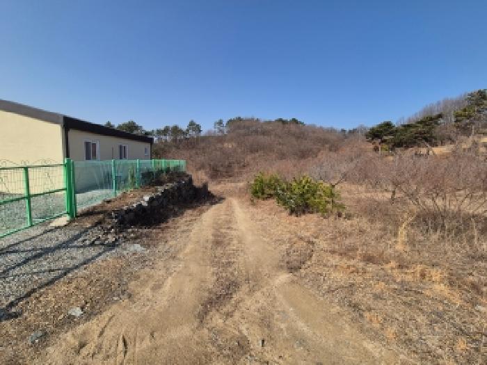 세종 장군면 대지,임야,전답 경매 물건 사진