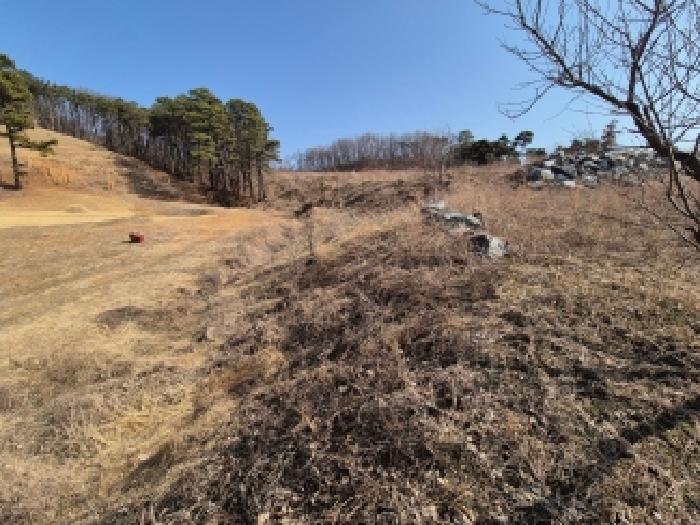 세종 장군면 대지,임야,전답 경매 물건 사진 2 · 2026타경600329