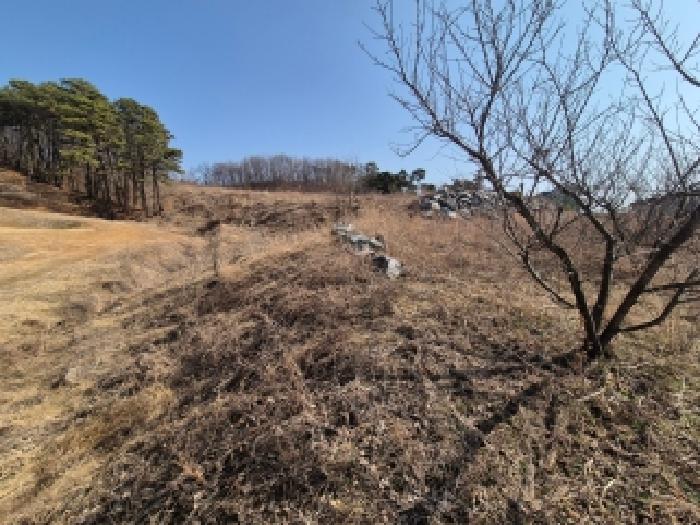세종 장군면 대지,임야,전답 경매 물건 사진 4 · 2026타경600329