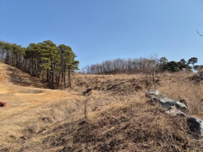 세종 장군면 대지,임야,전답 경매 물건 사진 5 · 2026타경600329