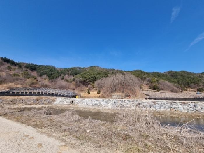 충남 금산군 진산면 임야 경매 물건 사진