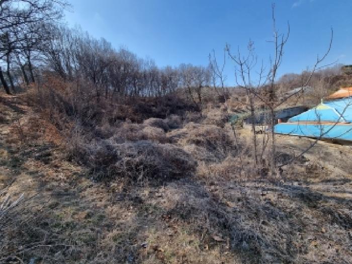 충남 금산군 진산면 임야 경매 물건 사진 5 · 2026타경600332