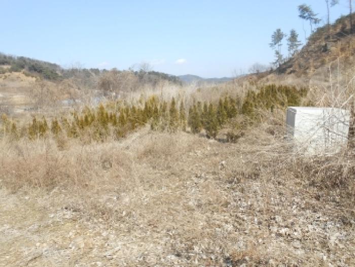 세종 연서면 대지,임야,전답 경매 물건 사진