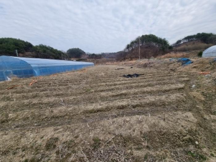 충남 금산군 금산읍 전답 경매 물건 사진 3 · 2026타경600445