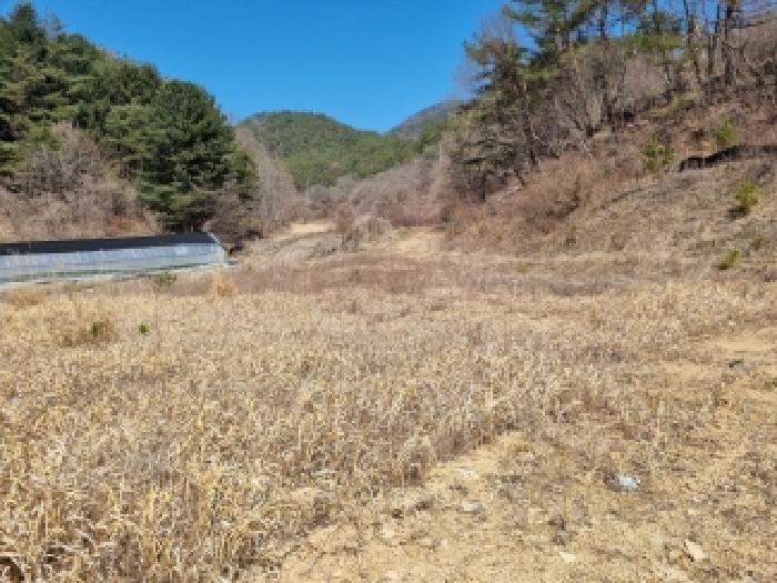 충남 금산군 남이면 대지,임야,전답 경매 물건 사진 4 · 2026타경600446