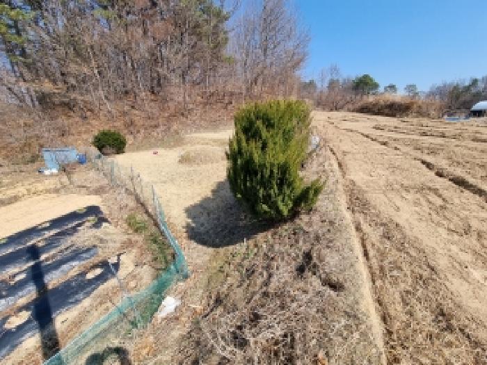 충남 금산군 부리면 전 경매 물건 사진 2 · 2026타경600482