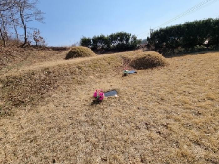 충남 금산군 부리면 전 경매 물건 사진 5 · 2026타경600482