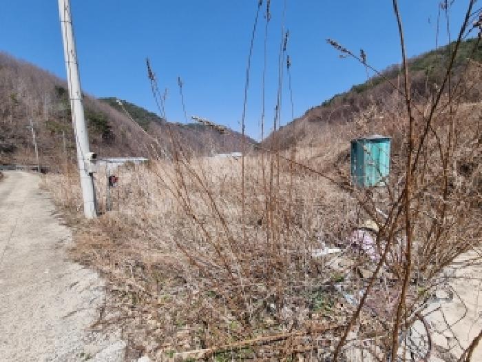 충남 금산군 진산면 전답 경매 물건 사진