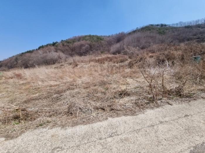 충남 금산군 진산면 전답 경매 물건 사진 2 · 2026타경600484