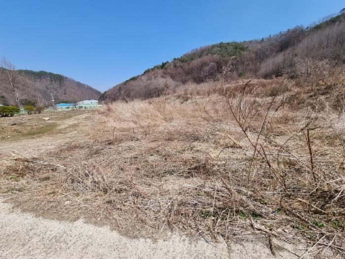 충남 금산군 진산면 전답 경매 물건 사진 3 · 2026타경600484