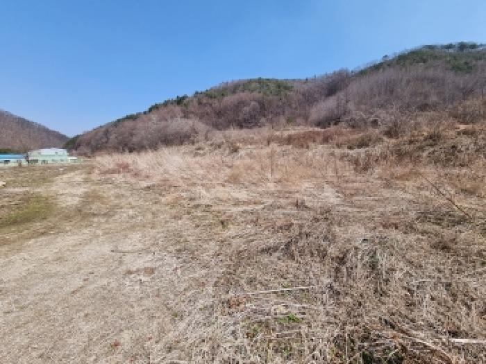충남 금산군 진산면 전답 경매 물건 사진 4 · 2026타경600484