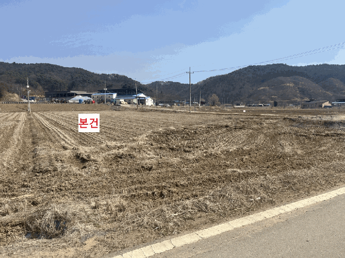 세종 장군면 대지,임야,전답 경매 물건 사진 5 · 2026타경600488