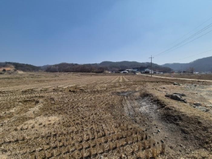 세종 장군면 대지,임야,전답 경매 물건 사진 2 · 2026타경600488