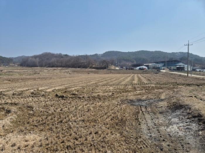 세종 장군면 대지,임야,전답 경매 물건 사진 3 · 2026타경600488