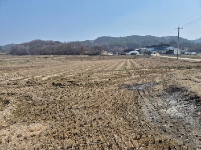 세종 장군면 대지,임야,전답 경매 물건 사진 4 · 2026타경600488