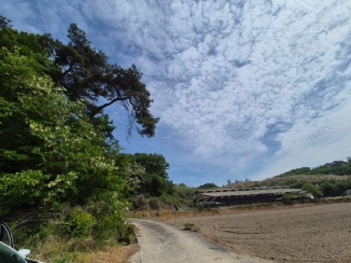 세종 장군면 임야 경매 물건 사진 2 · 2026타경600502