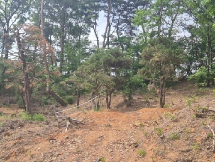 세종 장군면 임야 경매 물건 사진 6 · 2026타경600502