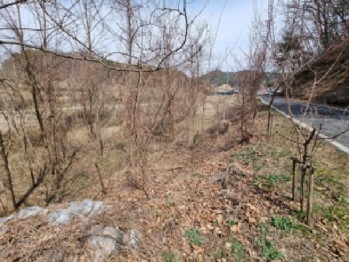 충남 금산군 남일면 전답 경매 물건 사진