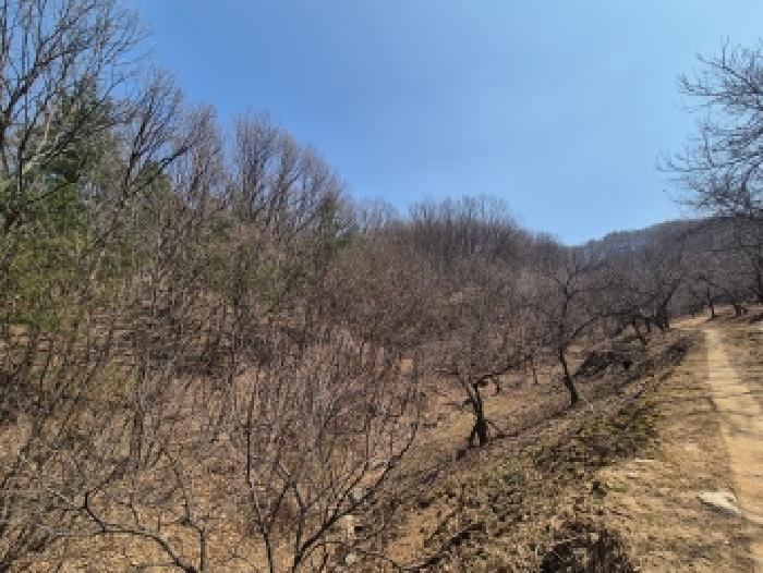 세종 장군면 임야 경매 물건 사진 4 · 2026타경600525