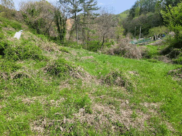 충청남도 금산군 진산면 교촌리 454 대지,임야,전답 경매 물건 사진
