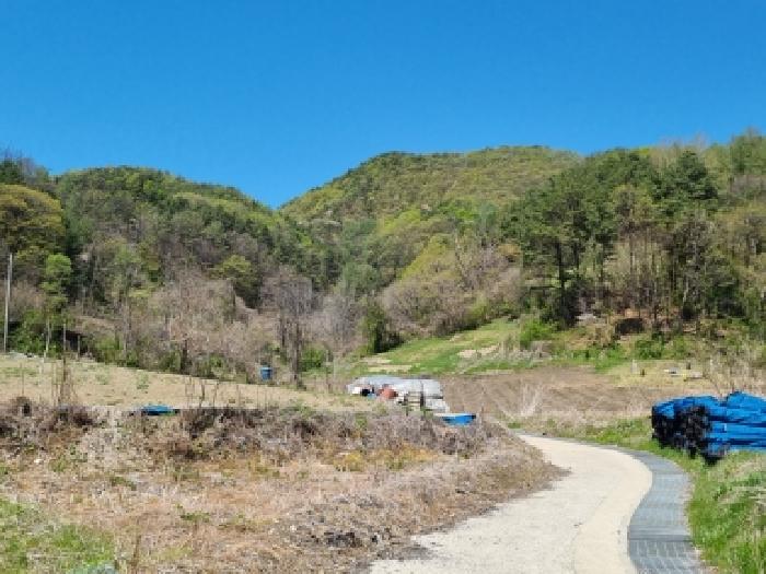 충남 금산군 진산면 대지,임야,전답 경매 물건 사진