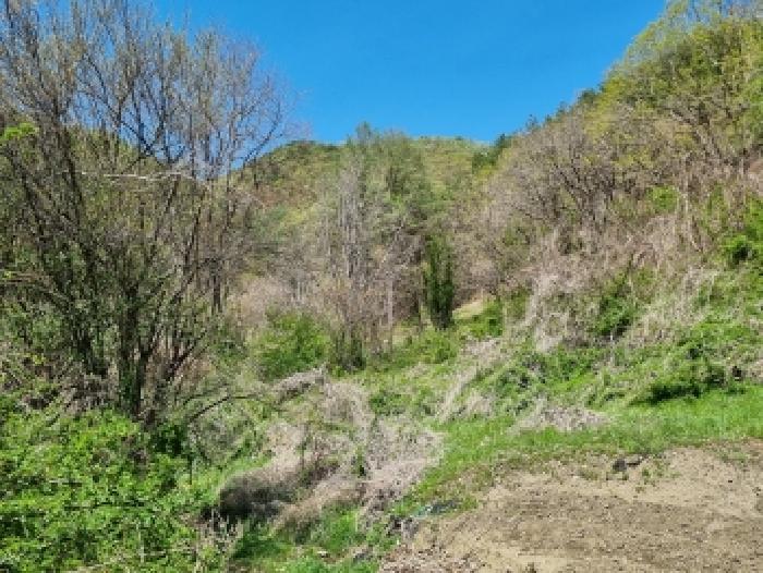 충남 금산군 진산면 대지,임야,전답 경매 물건 사진 2 · 2026타경600530