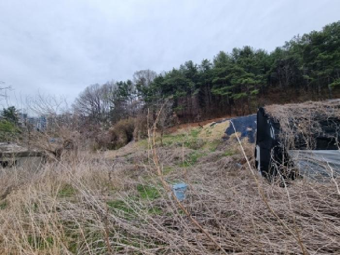 대전 동구 낭월동 대지,임야,전답 경매 물건 사진