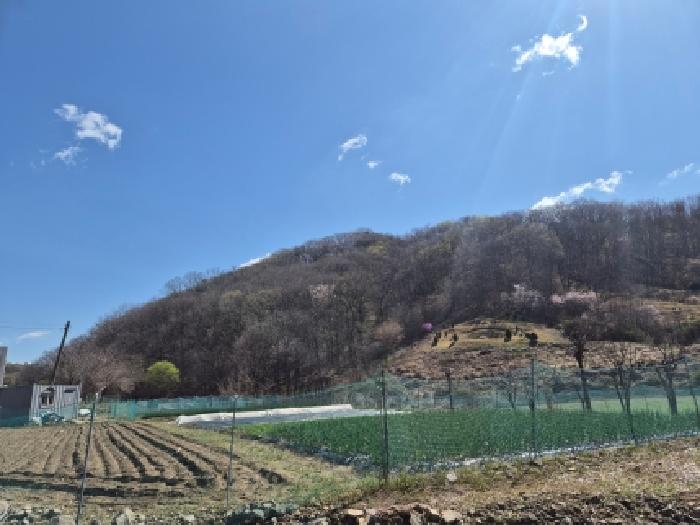 세종 장군면 대지,임야,전답 경매 물건 사진