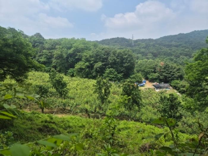 대전 유성구 문지동 전답 경매 물건 사진