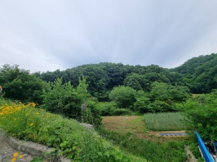 충남 금산군 금성면 대지,임야,전답 경매 물건 사진 2 · 2026타경601036
