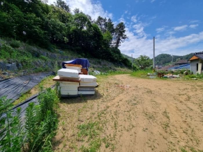 대전 서구 산직동 대지,임야,전답 경매 물건 사진 6 · 2026타경601162