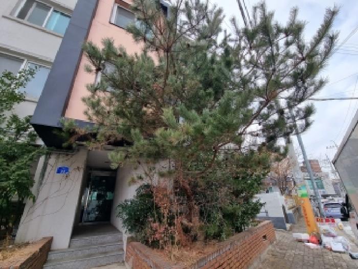 대전 중구 부사동 단독주택 경매 물건 사진